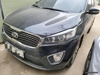2015 Kia Sorento KNAPH81ABFA038499 VIN:KNAPH81ABFA038499