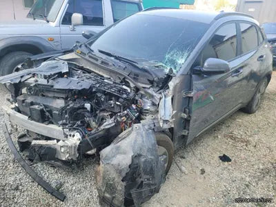 2019 Hyundai Kona KMHK381GFKU057313 VIN:KMHK381GFKU057313