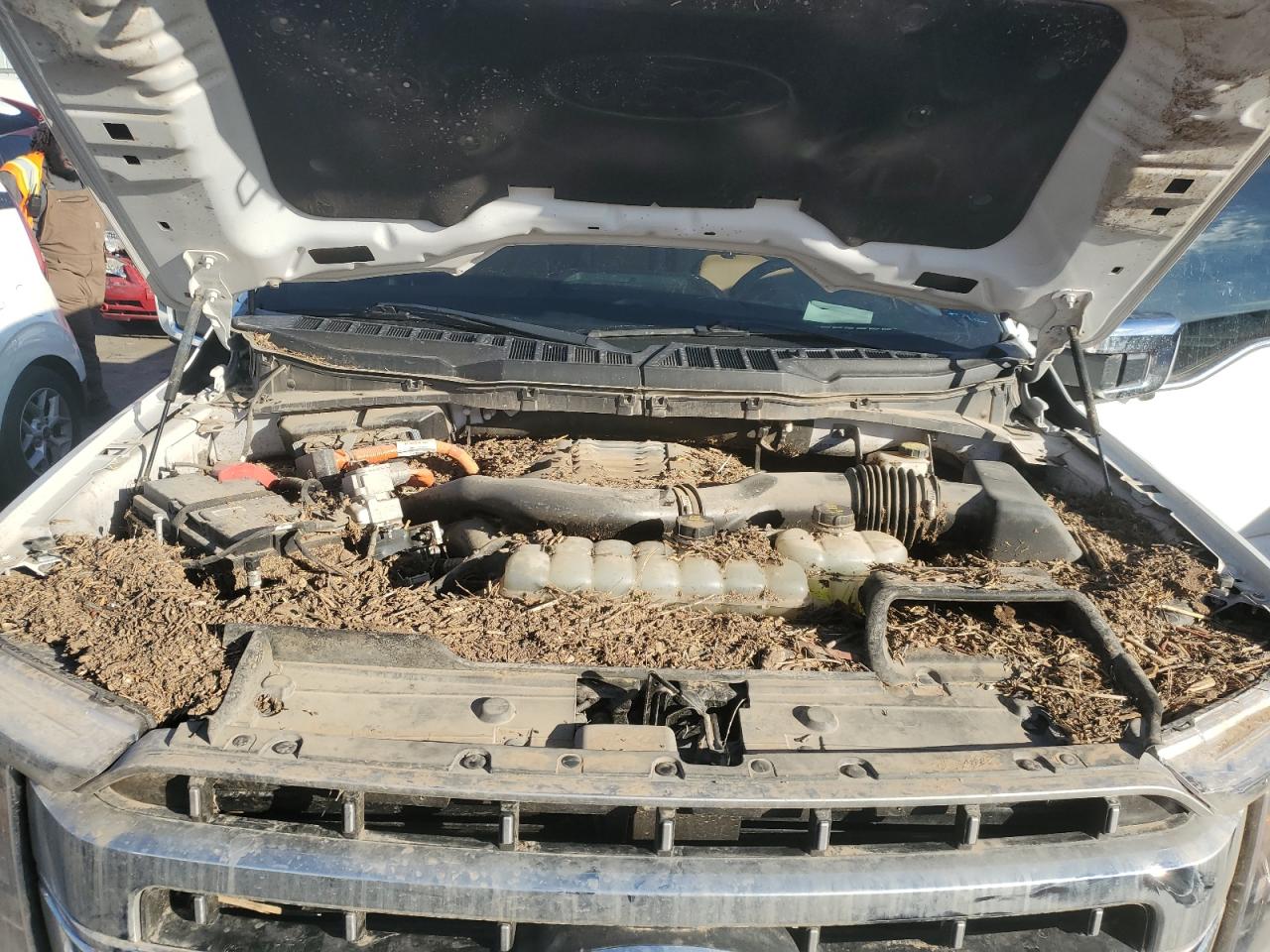 2022 FORD F150 SUPERCREW VIN:1FTFW1ED3NFA28955
