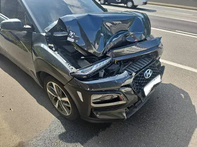 2019 Hyundai Kona KMHK4815GKU402810 VIN:KMHK4815GKU402810