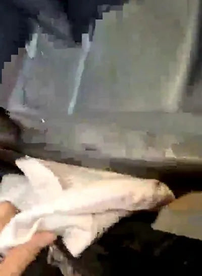 2015 BMW 520 WBA5E5102FG061947 VIN:WBA5E5102FG061947