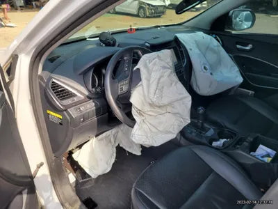 2015 Hyundai Santa FE KMHSW81UBFU507191 VIN:KMHSW81UBFU507191