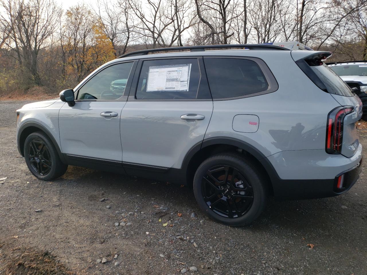 2024 KIA TELLURIDE EX VIN:5XYP3DGC3RG550104