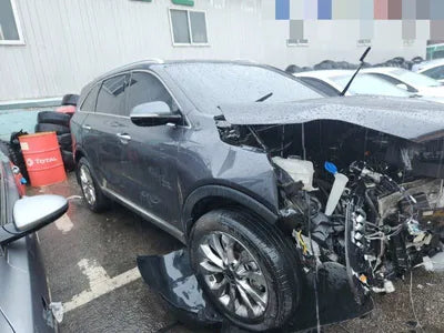 2019 Kia Sorento KNAPS81BBKA545743 VIN:KNAPS81BBKA545743