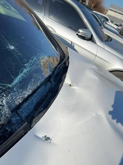 2019 Mercedes-Benz A 220 VIN: