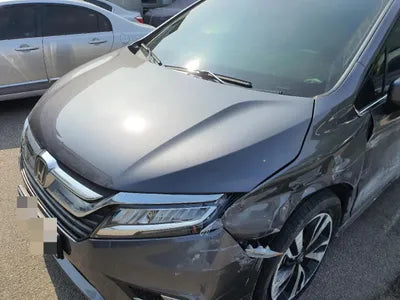 2020 Honda Odyssey 5KBRL6880LB600118 VIN:5KBRL6880LB600118