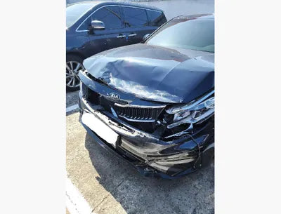 2019 Kia K5 KNAGT411BKA327498 VIN:KNAGT411BKA327498