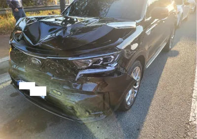 2021 Kia Sorento KNARK81BGMA015150 VIN:KNARK81BGMA015150