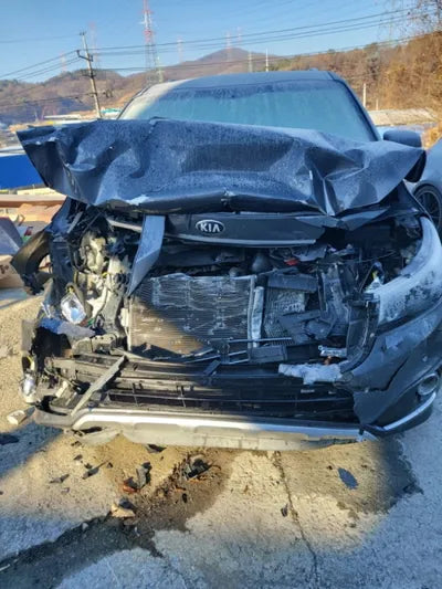 2017 Kia Carnival VIN: