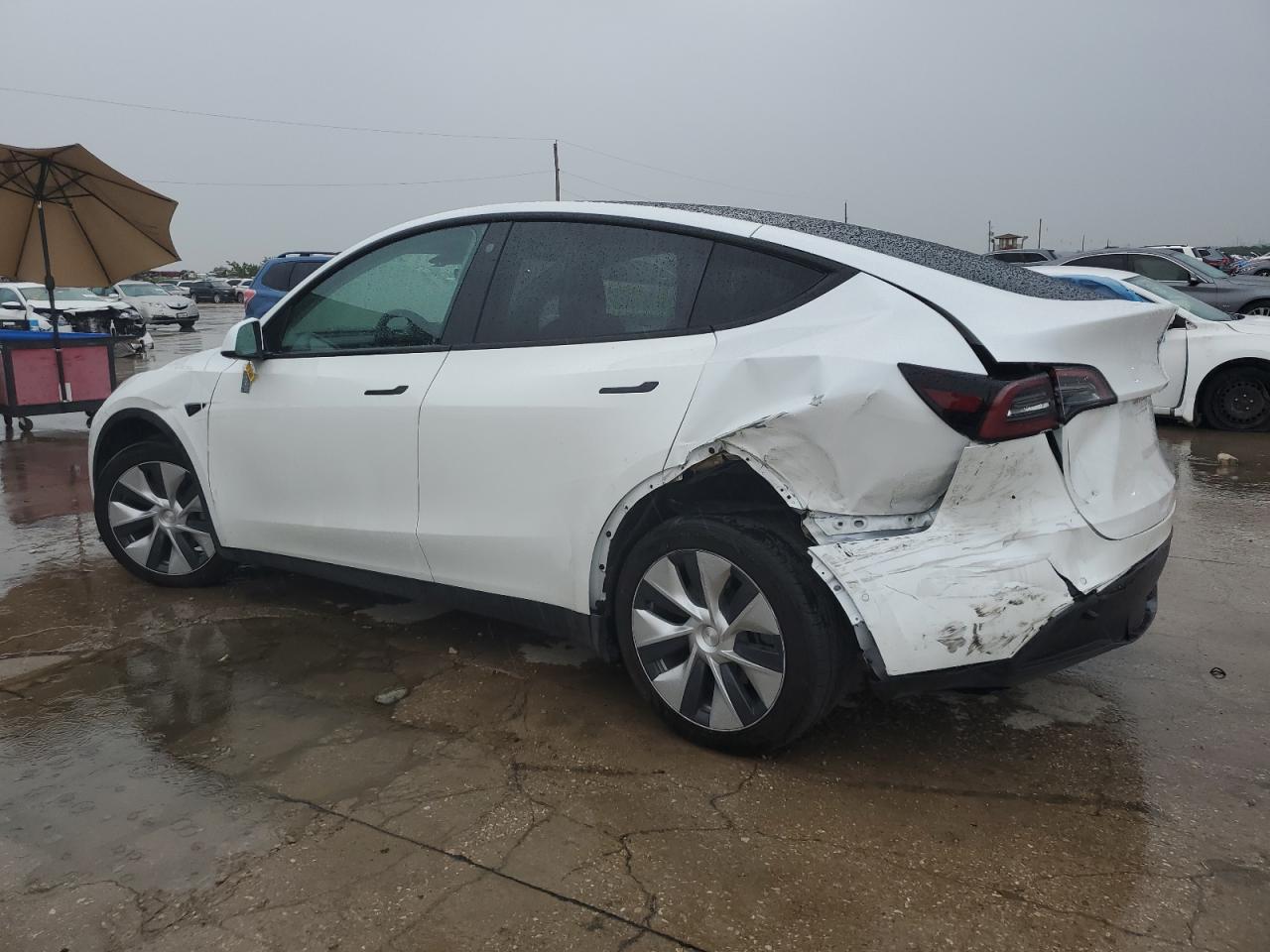 2022 TESLA MODEL Y  VIN:7SAYGDEE4NF329743