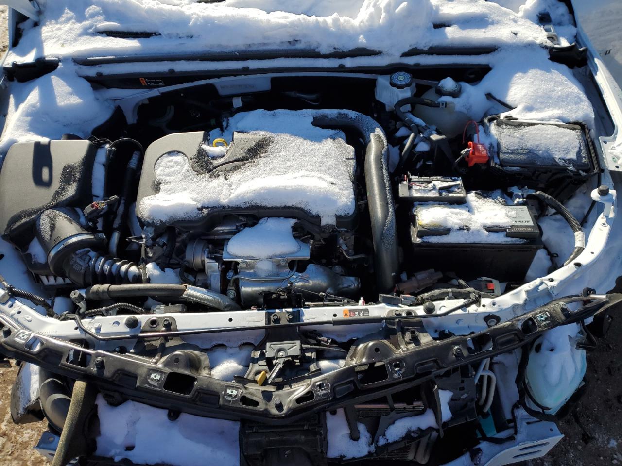 2023 CHEVROLET MALIBU LT VIN:1G1ZD5ST9PF196245