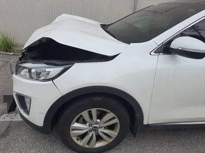 2016 Kia Sorento KNAPS81ADGA254261 VIN:KNAPS81ADGA254261