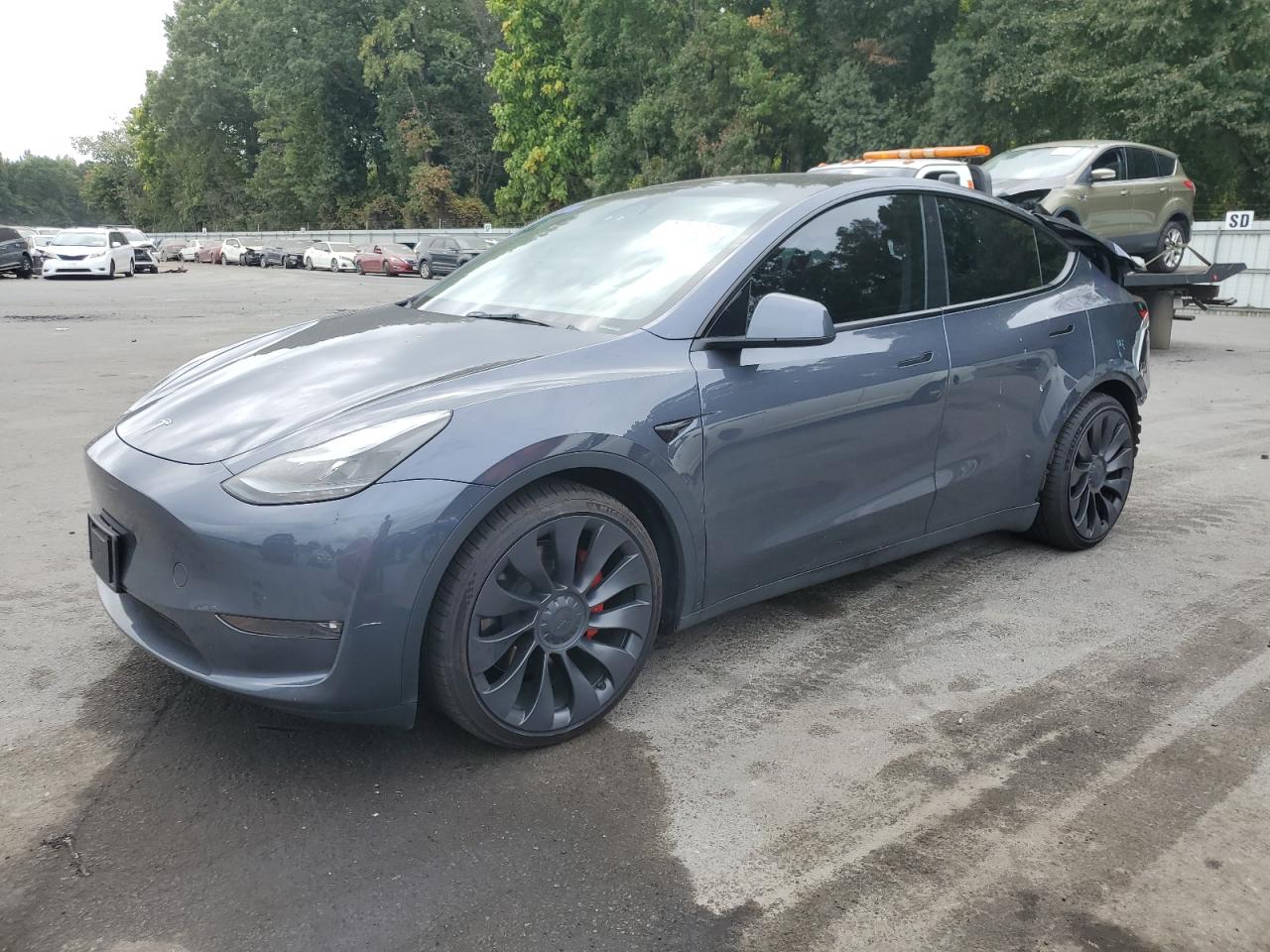 2023 TESLA MODEL Y  VIN:7SAYGDEF1PF767969