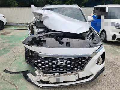 2019 Hyundai Santa FE KMHS381ADKU168779 VIN:KMHS381ADKU168779