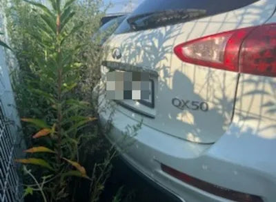 2017 Infiniti QX50 110KMJNKBJ07F1HM5 VIN:110KMJNKBJ07F1HM5