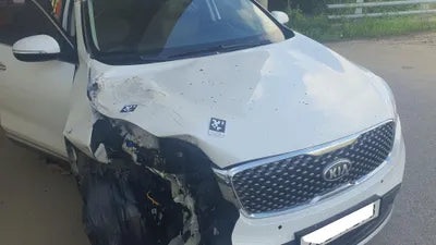 2017 Kia Sorento KNAPH81ADHA343770 VIN:KNAPH81ADHA343770