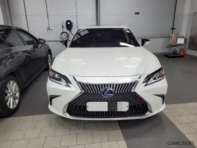 2019 Lexus ES 300 VIN: