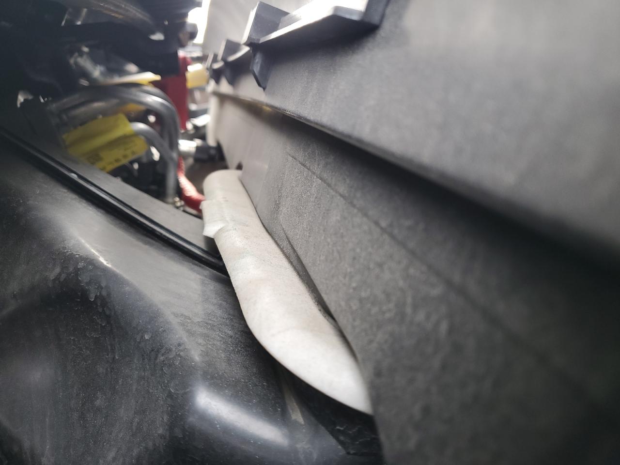 2024 TESLA MODEL Y  VIN:7SAYGDEE4RF024829