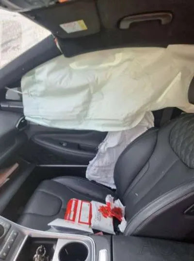 2020 Hyundai Santa FE KMHS581HGMU341212 VIN:KMHS581HGMU341212