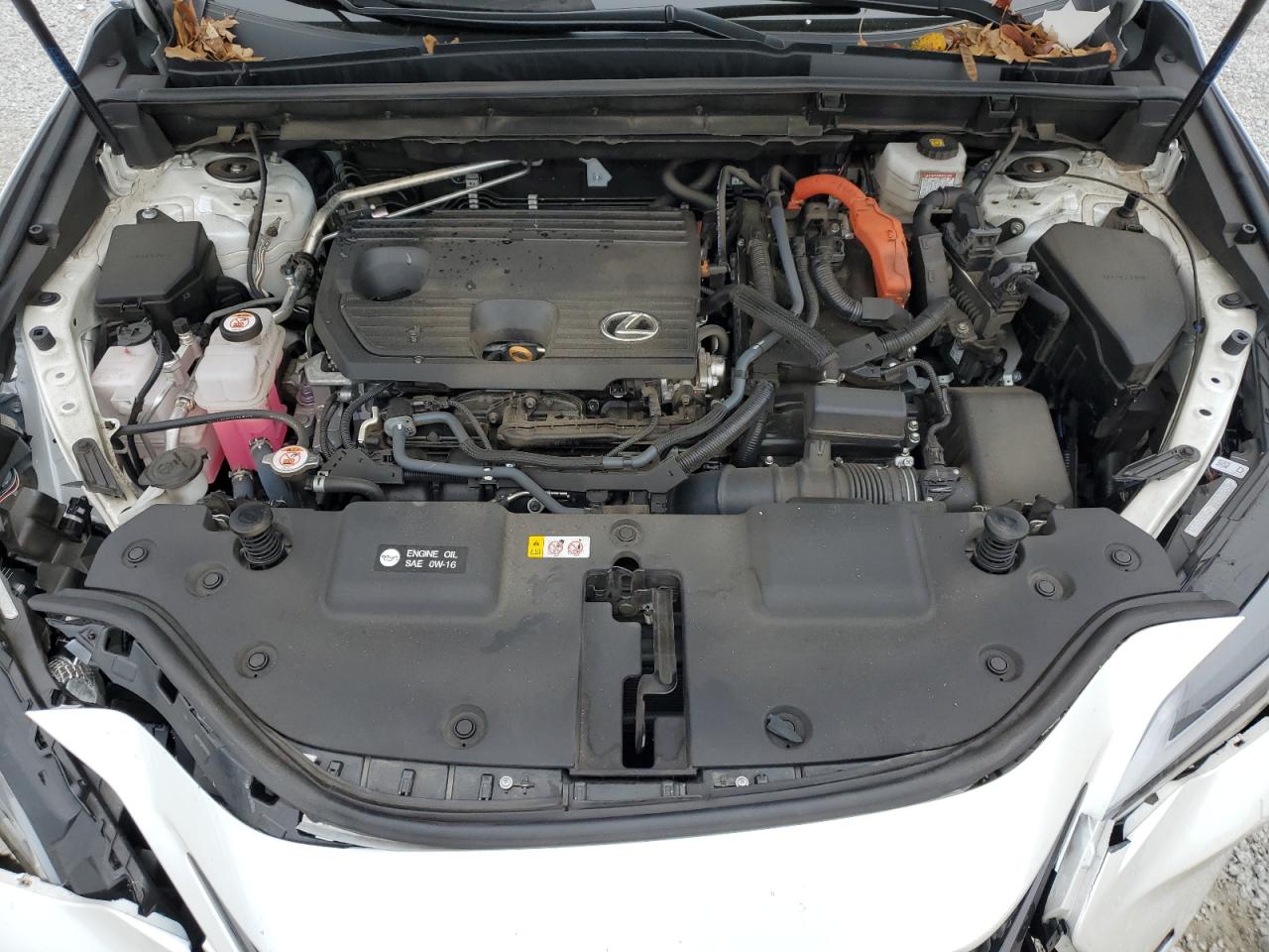 2022 LEXUS NX 350H VIN:2T2GKCEZXNC003496