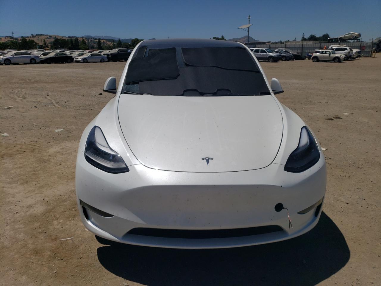 2023 TESLA MODEL Y  VIN:7SAYGDEDXPF946395