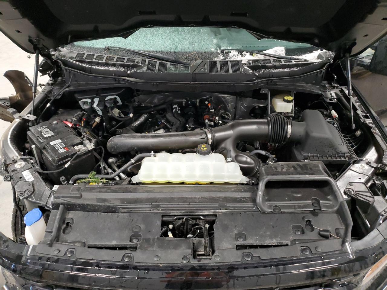 2024 FORD F150 XLT VIN:1FTFW3L87RFB30606
