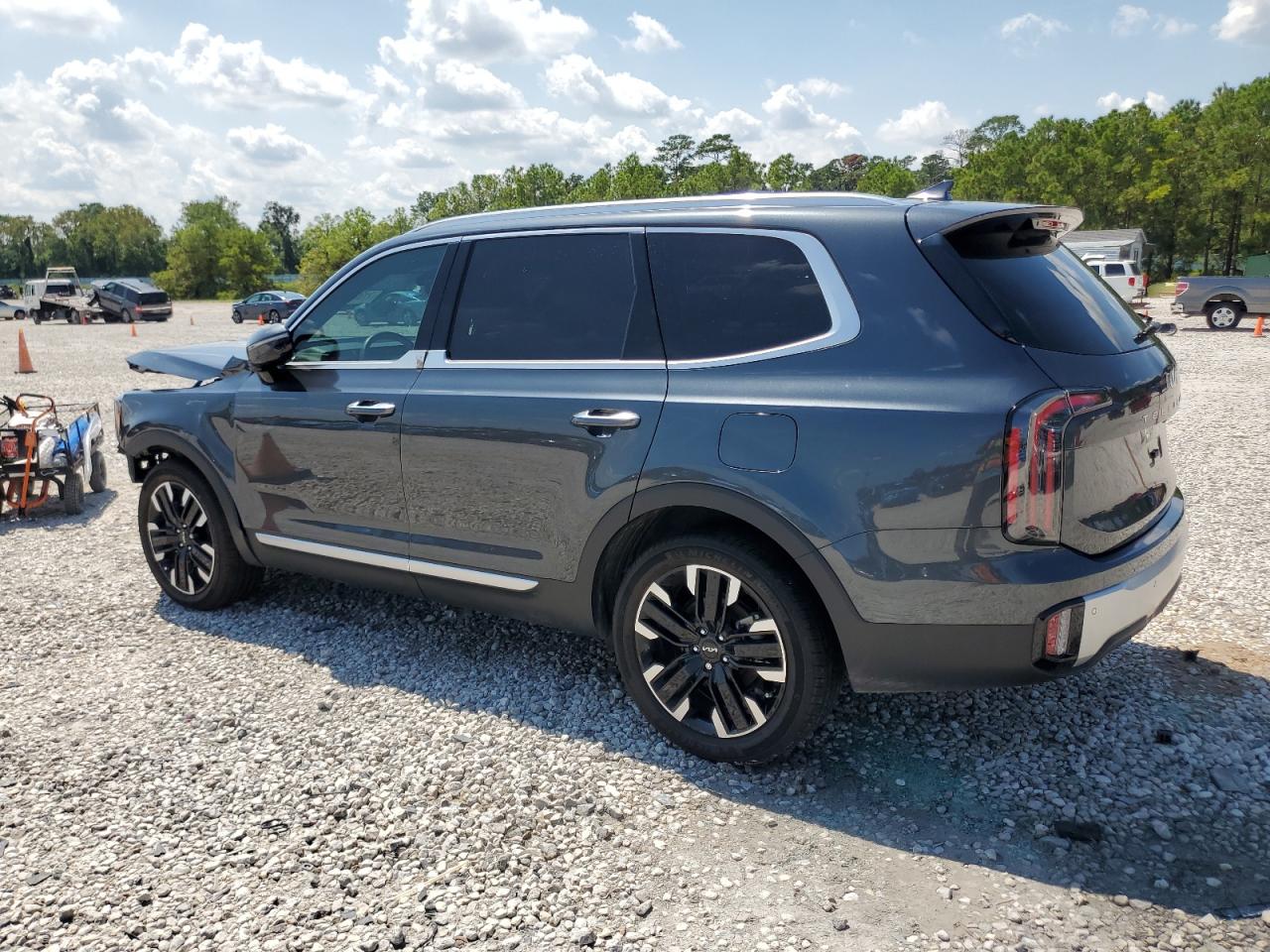 2024 KIA TELLURIDE SX VIN:5XYP5DGC8RG459890