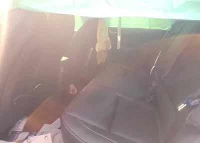 2020 Hyundai Kona KMHK4815GLU563369 VIN:KMHK4815GLU563369