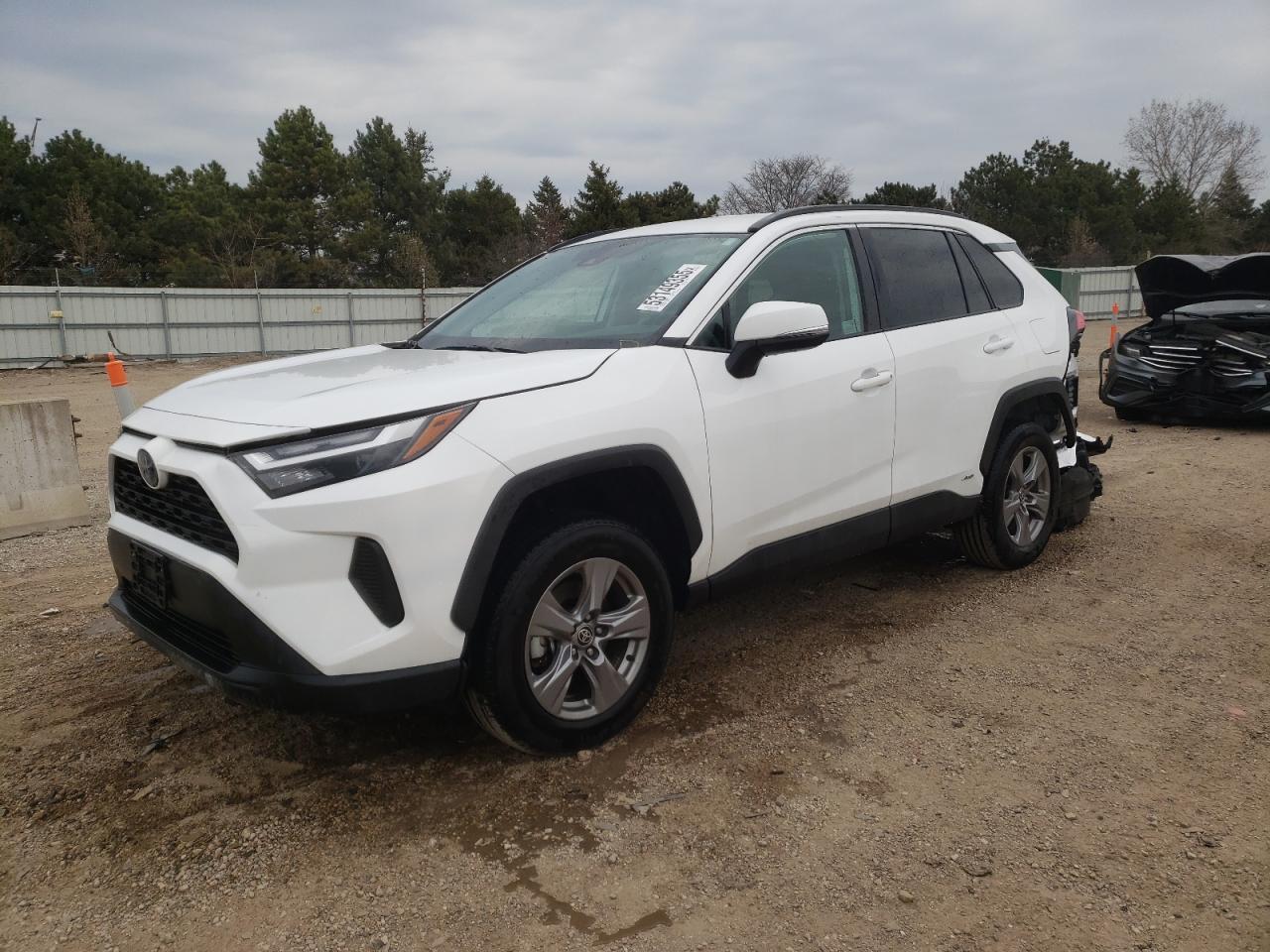 2024 TOYOTA RAV4 XLE VIN:4T3RWRFV9RU114861