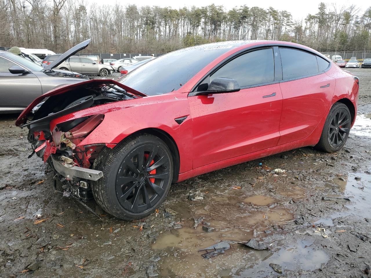 2022 TESLA MODEL 3  VIN:5YJ3E1EAXNF187262