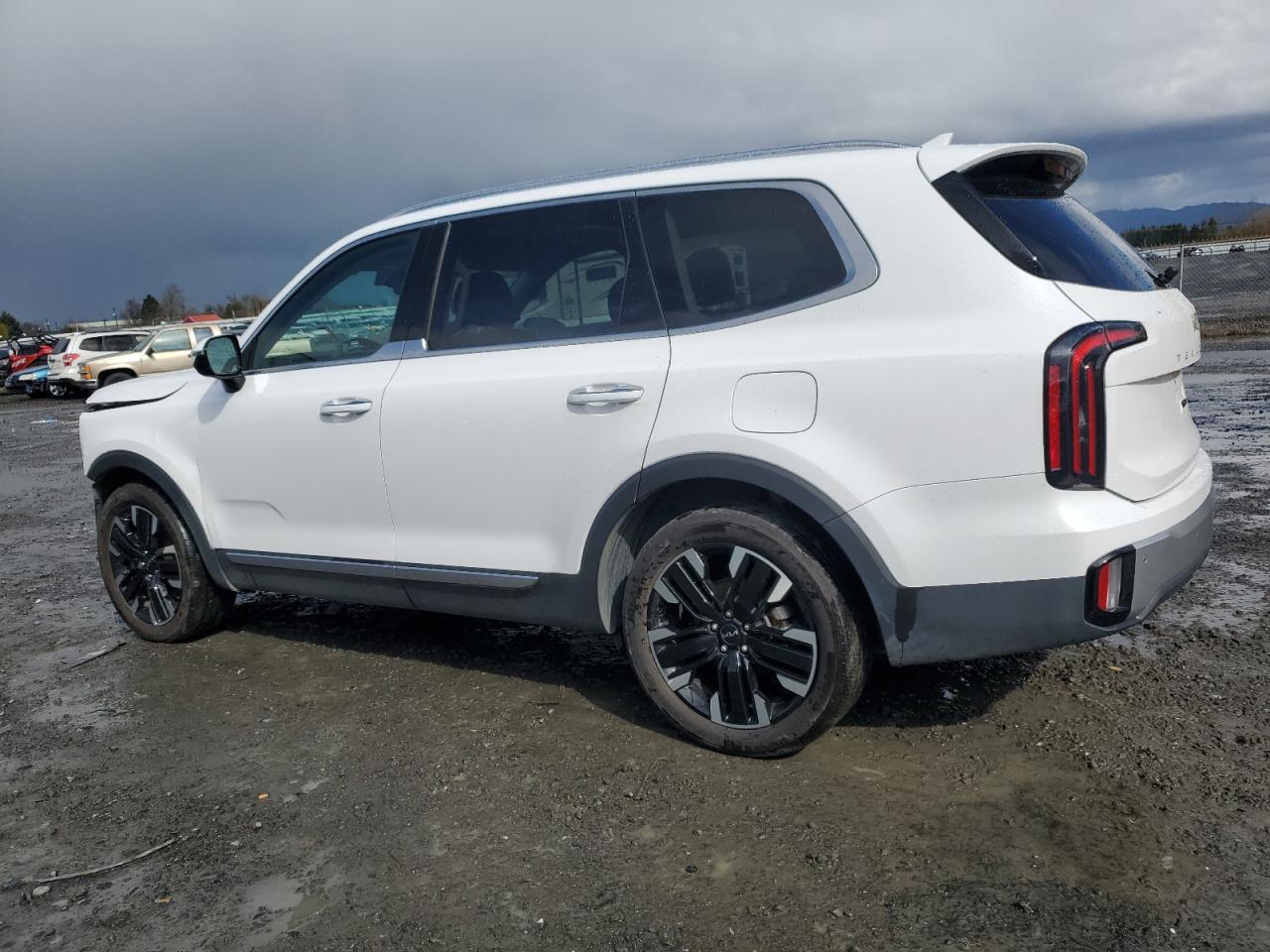 2023 KIA TELLURIDE SX VIN:5XYP5DGC9PG350576