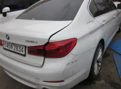 2020 BMW 520 WBAJF3109LWW54738 VIN:WBAJF3109LWW54738