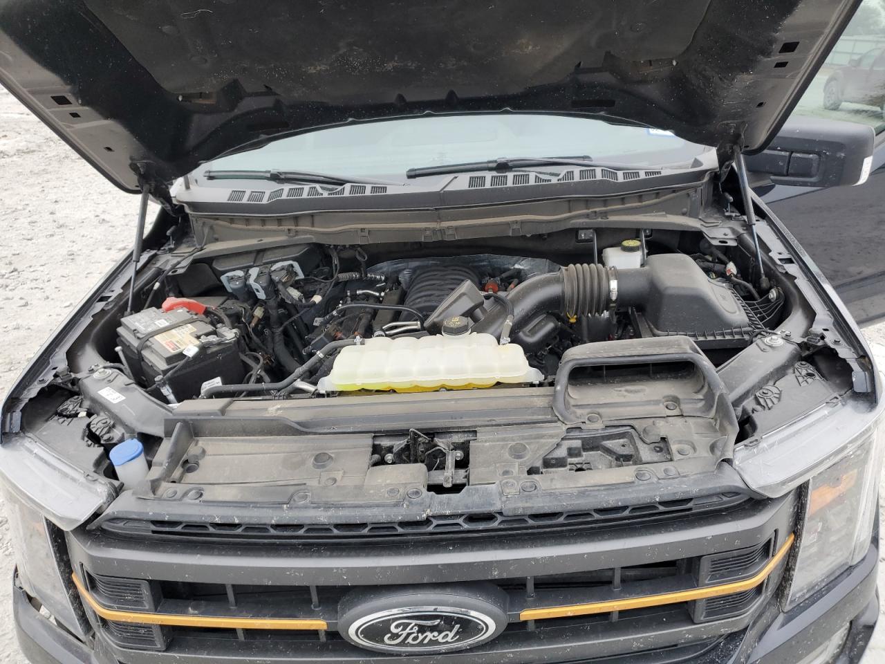 2023 FORD F150 SUPERCREW VIN:1FTFW1E54PFC96229