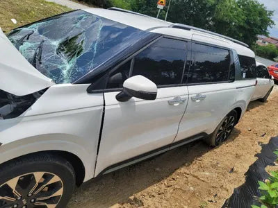 2020 Kia Carnival KNANC81BBMS004700 VIN:KNANC81BBMS004700