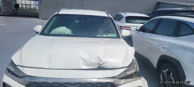 2019 Hyundai Santa FE KMHS381ADKU168779 VIN:KMHS381ADKU168779