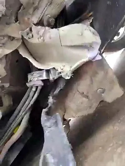 2019 Hyundai Santa FE KMHS281BBKU163858 VIN:KMHS281BBKU163858