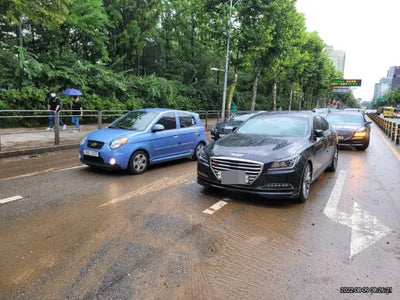 2016 acupuncture nessis 3.3 VIN: