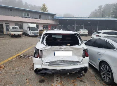 2023 Kia Sorento KNARJ81GBPA204006 VIN:KNARJ81GBPA204006