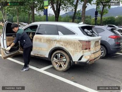 2022 Kia Sorento KNARK81GBNA102372 VIN:KNARK81GBNA102372
