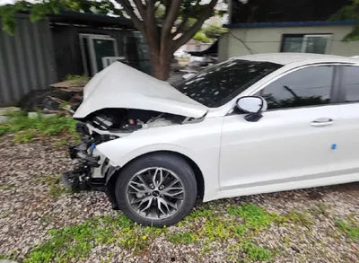 2020 Kia K5 KNAG241ABLA009299 VIN:KNAG241ABLA009299