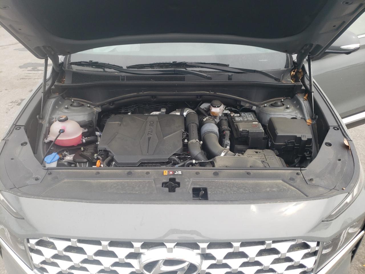 2023 HYUNDAI SANTA FE LIMITED VIN:5NMS44AL5PH491446