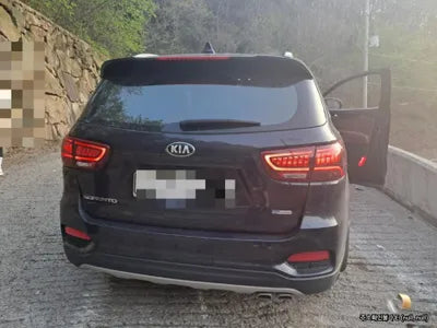 2020 Kia Sorento KNAPH81ABLA648019 VIN:KNAPH81ABLA648019