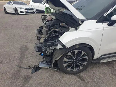 2021 Kia Carnival KNANE81BBMS025839 VIN:KNANE81BBMS025839