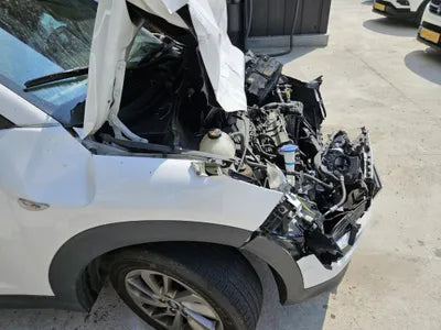 2018 Hyundai Tucson KMHJ2815GJU613631 VIN:KMHJ2815GJU613631