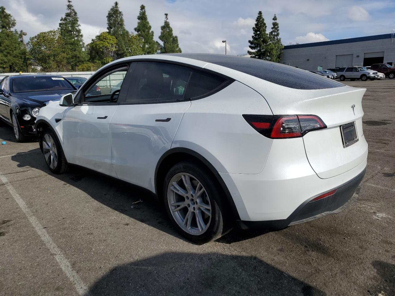 2022 TESLA MODEL Y  VIN:7SAYGDEE6NF307193