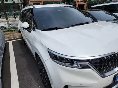 2021 Kia Carnival KNANE81BBMS079197 VIN:KNANE81BBMS079197