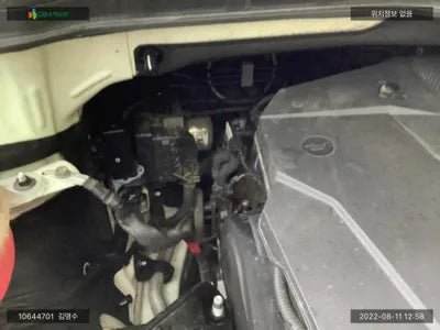 2020 Kia Carnival KNANC81BBMS004429 VIN:KNANC81BBMS004429