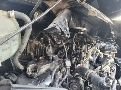 2017 Kia Sportage KNAPM813DHK239124 VIN:KNAPM813DHK239124