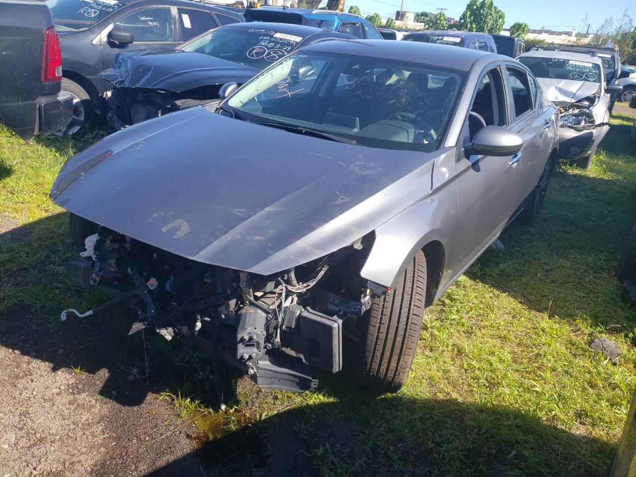 2023 NISSAN ALTIMA SV VIN:1N4BL4DV7PN308413