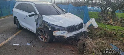 2017 Kia Sorento 339KMKNAPH81ABHA3 VIN:339KMKNAPH81ABHA3